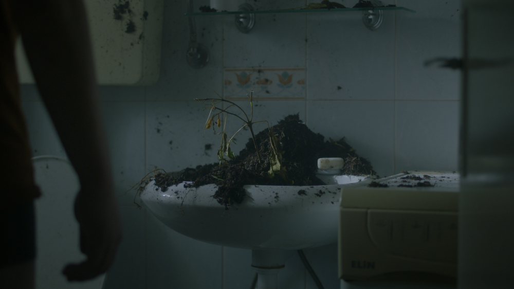 ORGANISMS
