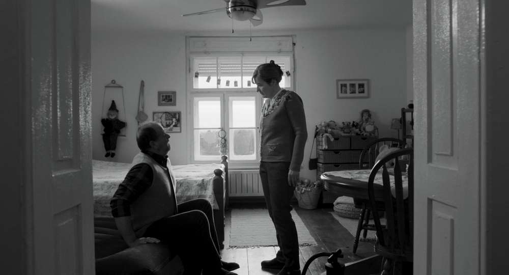 ORKESTER / ORCHESTRA