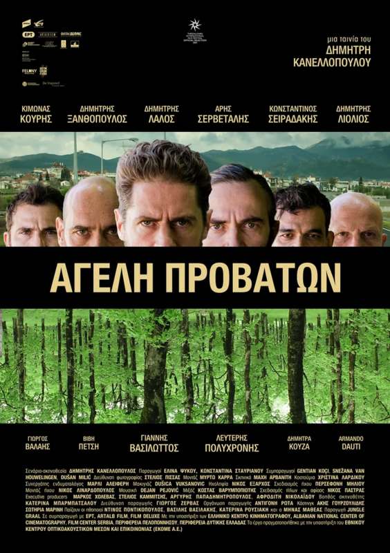 AGELI PROVATON / PACK OF SHEEP